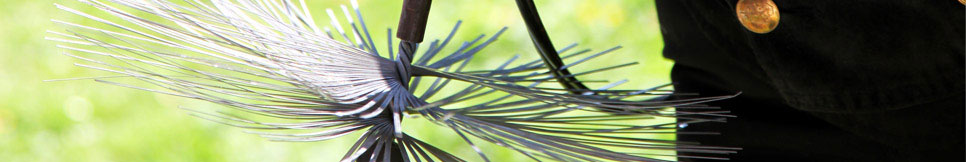 Banner - Carsten Schlesinger